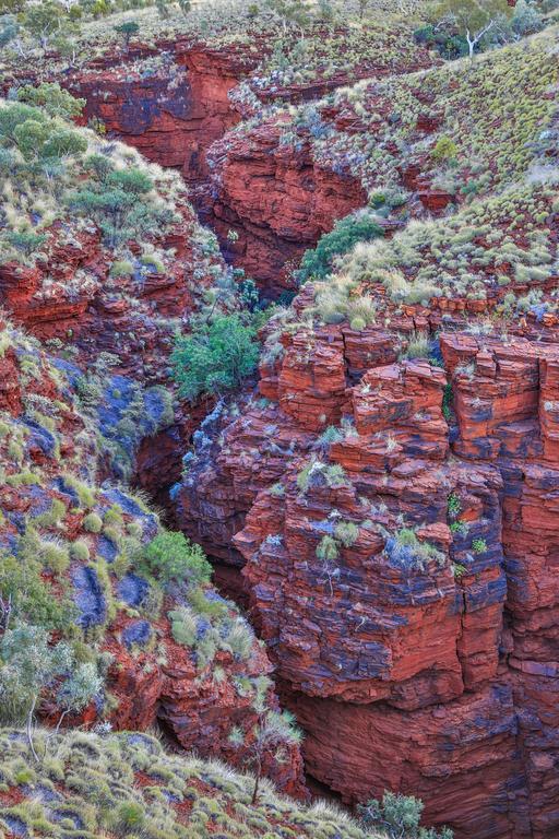 Hotel Karijini Eco Retreat Karijini National Park Exteriér fotografie