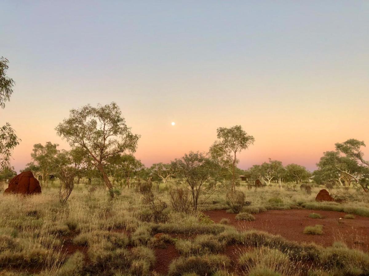 Hotel Karijini Eco Retreat Karijini National Park Exteriér fotografie