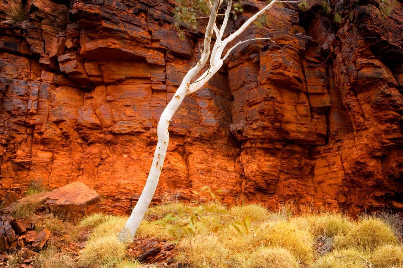Hotel Karijini Eco Retreat Karijini National Park Exteriér fotografie